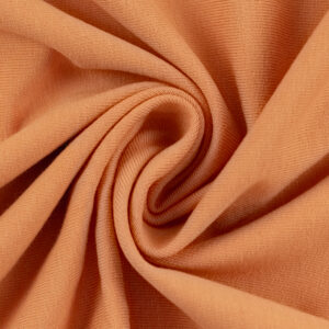 dressiriie-aprikoosiroosa