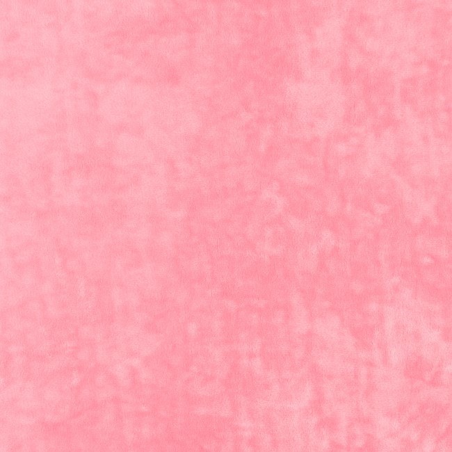 Veluur-roosa
