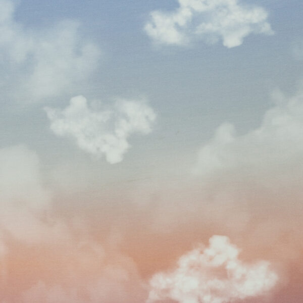 Modaal dressiriie - pilved, aprikoosiroosa-sinine