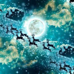 Digiprint trikotaaž - põhjapõdrad