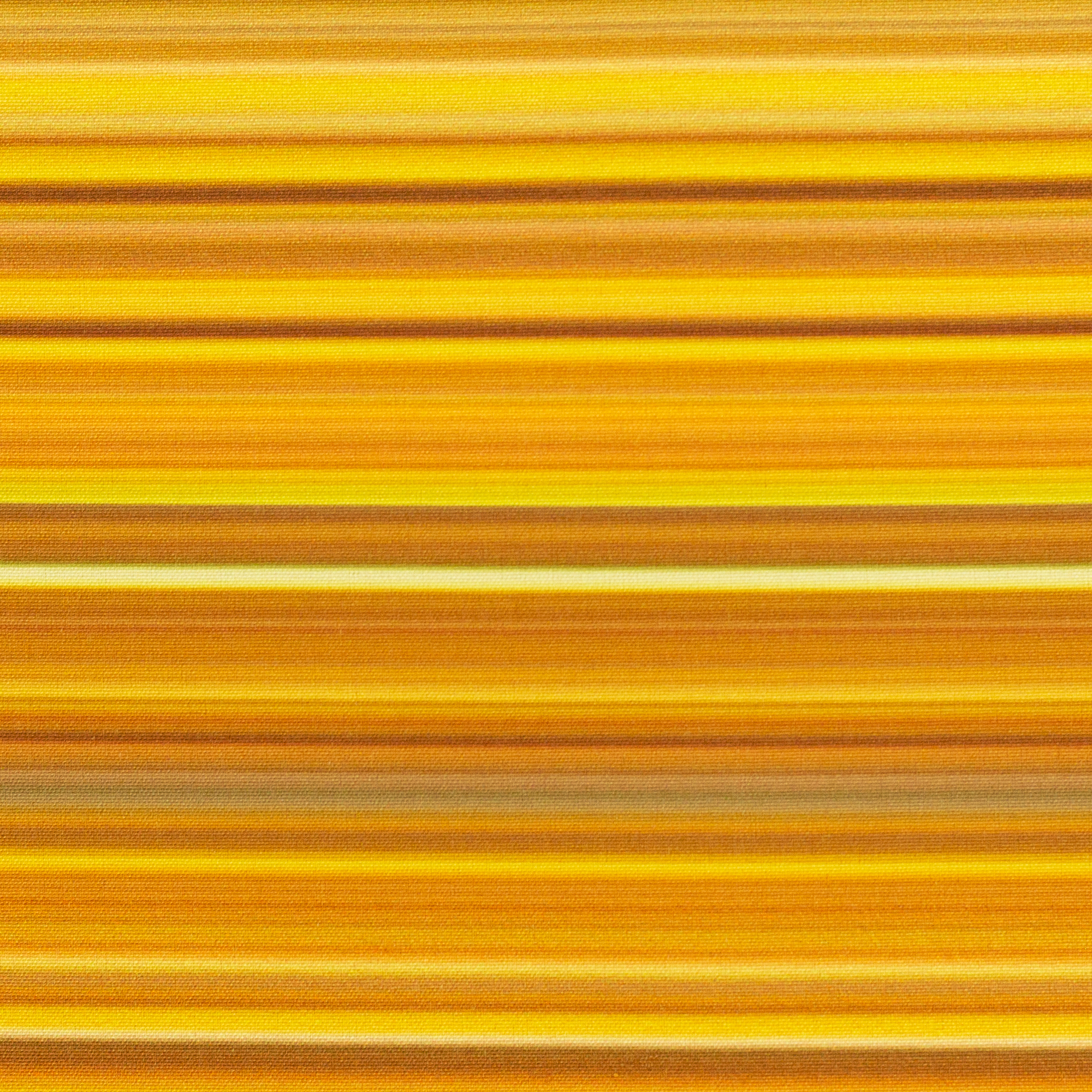 Softshell - triibud, kollane
