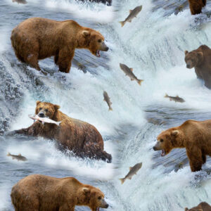 Metsikud karud jões kalu püüdmas - tõetruu loodusmustriga digiprint trikotaaž.