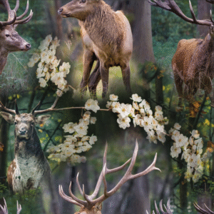 Suurte sarvedega hirved metsas - rahu ja loodusta armastavale inimesele ideaalselt sobiva mustriga trikotaaž kangas