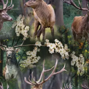 Suurte sarvedega hirved metsas - rahu ja loodusta armastavale inimesele ideaalselt sobiva mustriga trikotaaž kangas