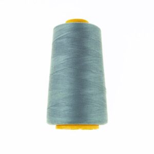 Overloki niit - hallikassinine